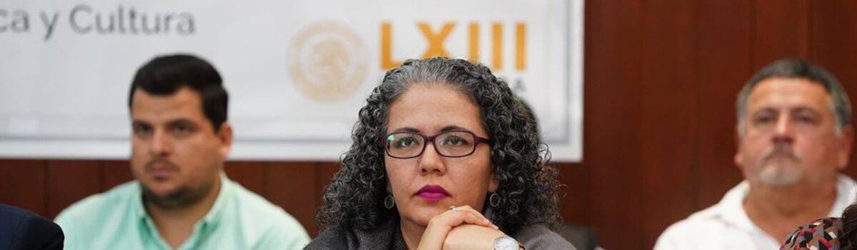 Legislativo, real contrapeso del Ejecutivo en obra pública: Graciela Domínguez