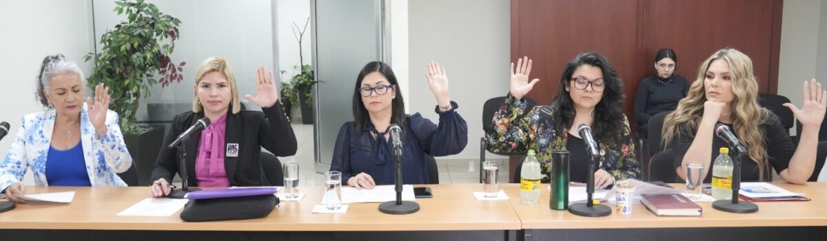 Comisión de Igualdad amplía reconocimiento y protección de niñez y adolescencia en Sinaloa