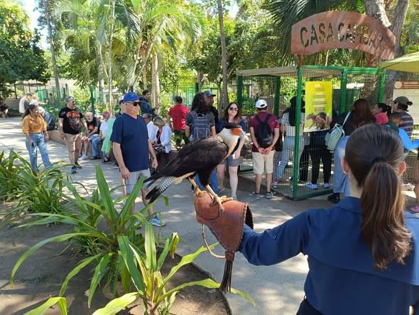 El Gran Acuario Mazatlán presenta nuevas experiencias y embajadores a sus visitantes.