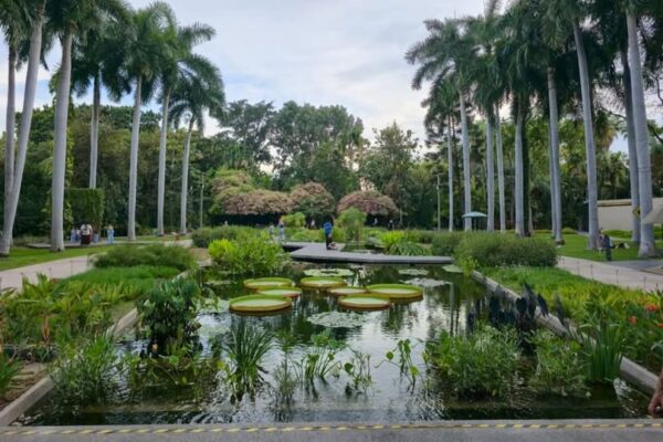 *Gobierno estatal refuerza acciones para mejorar el Jardín Botánico y el Parque Ecológico de Culiacán*