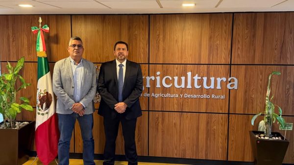 *Reanuda SADER pagos pendientes del apoyo federal extraordinario a productores de la cosecha de maíz 2023-2024: Ismael Bello Esquivel*