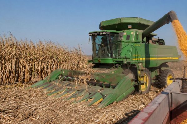 *Informa Secretario de Agricultura de Sinaloa Ismael Bello Esquivel apertura de ventanillas para el apoyo a la comercialización de maíz blanco 2025-2026*