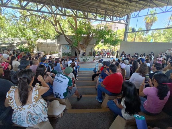 Gran Acuario Mazatlán conquista al turismo nacional este verano