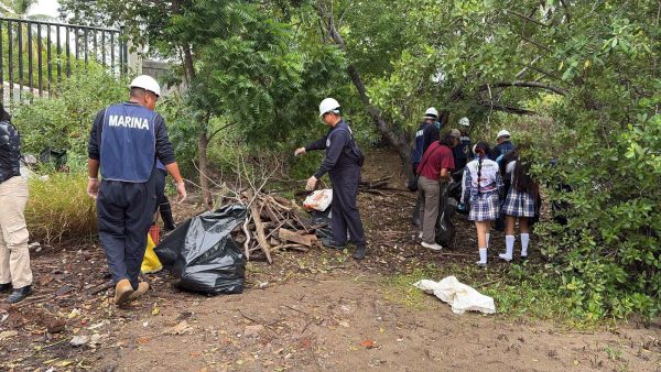 Marina participa en Jornada de Limpieza de playas y manglares en Mazatlán, Sinaloa